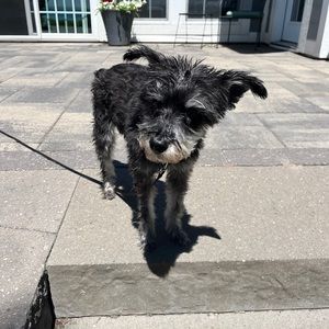 Meet your Posher, Jack